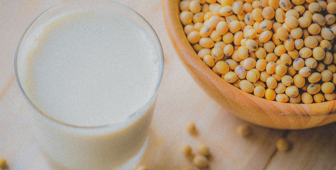 Benefícios do leite de soja e como fazer em casa